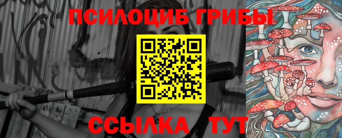 Галлюциногенные грибы MAGIC MUSHROOMS  Вход с VPN  Белая Калитва 